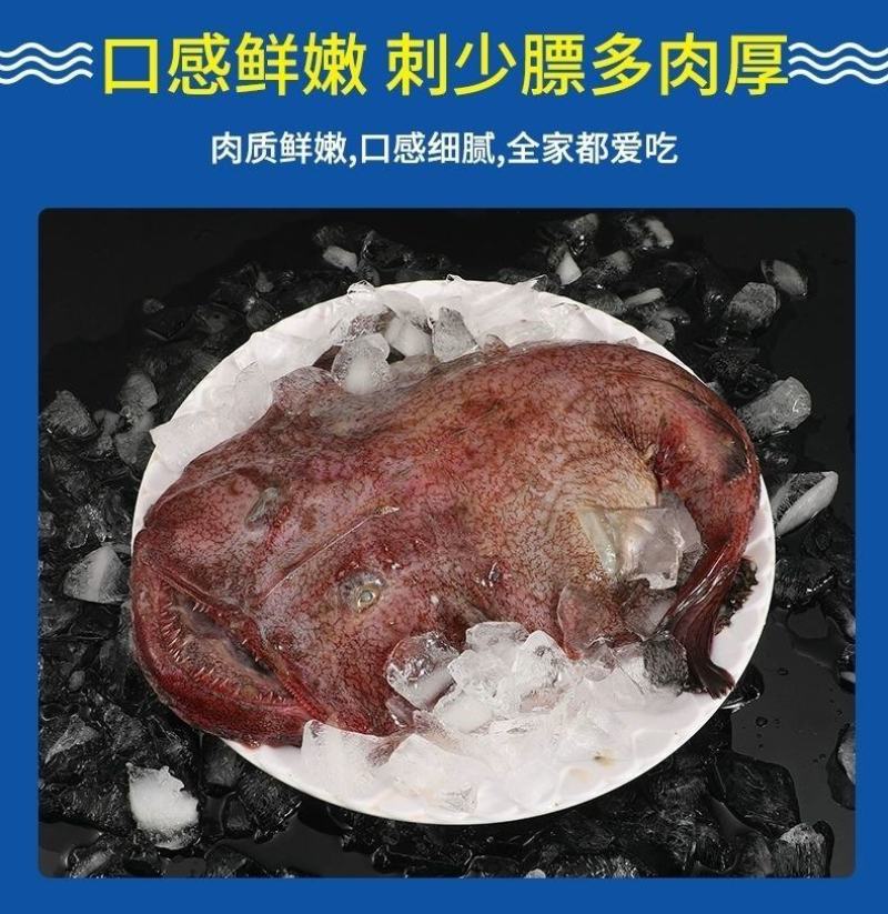 新鲜鮟鱇鱼海鱼无鱼刺带肝带肚鲜活宰杀鮟鱇鱼多省包邮免运费