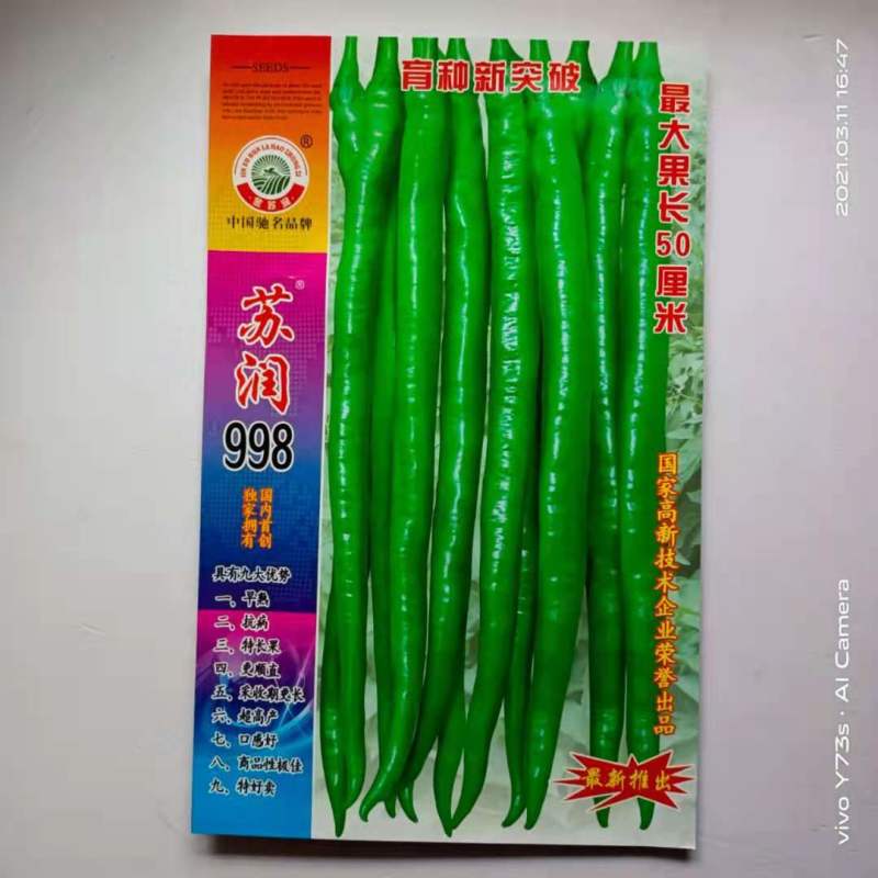 苏润线椒种子888/998/苏润一号特长线椒早熟原装种子