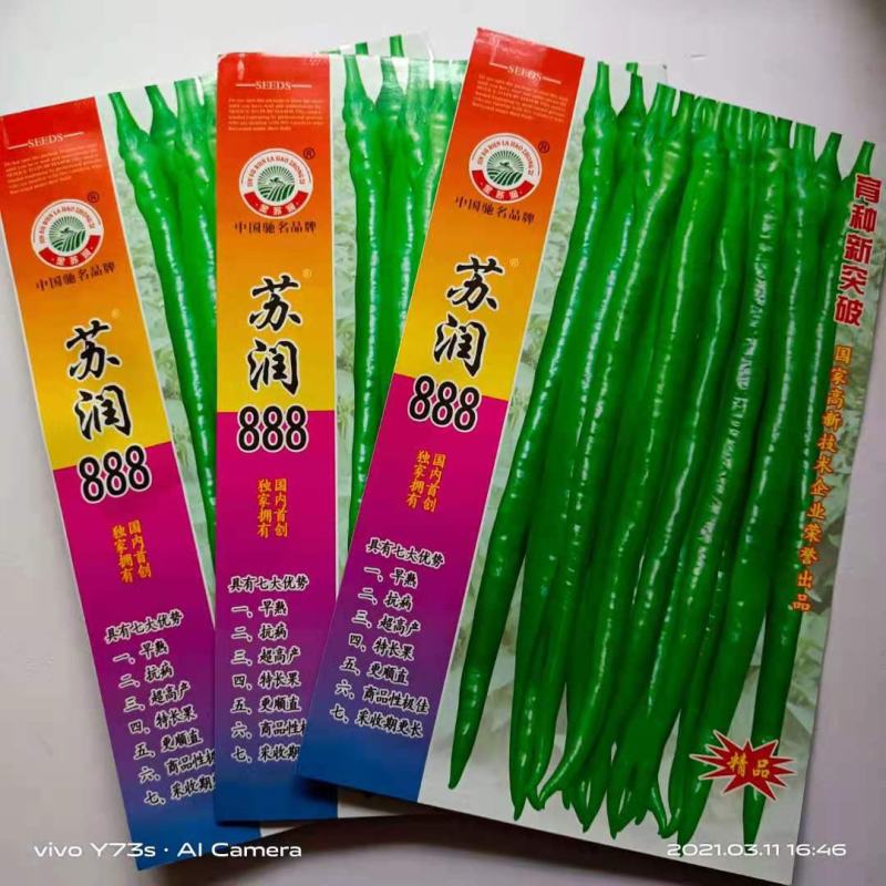苏润线椒种子888/998/苏润一号特长线椒早熟原装种子