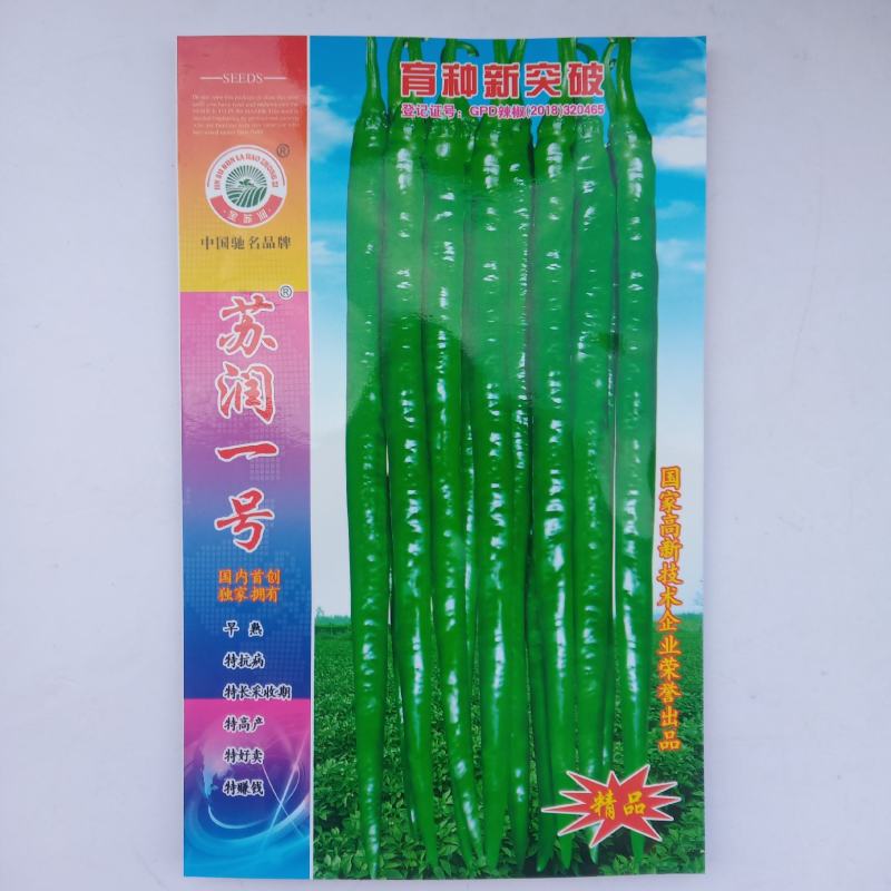 苏润线椒种子888/998/苏润一号特长线椒早熟原装种子