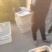 精品小龙虾