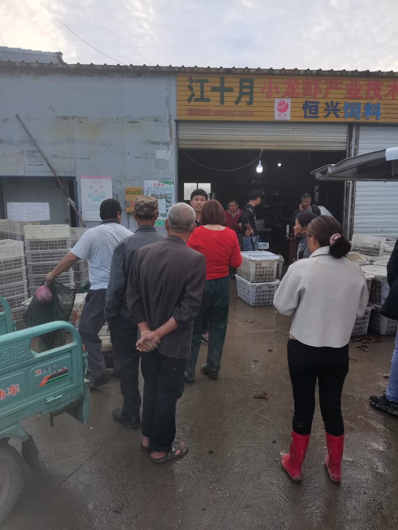 精品小龙虾