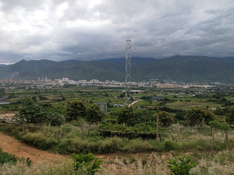 芒果基地转让