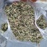 蒲公英茶，干货