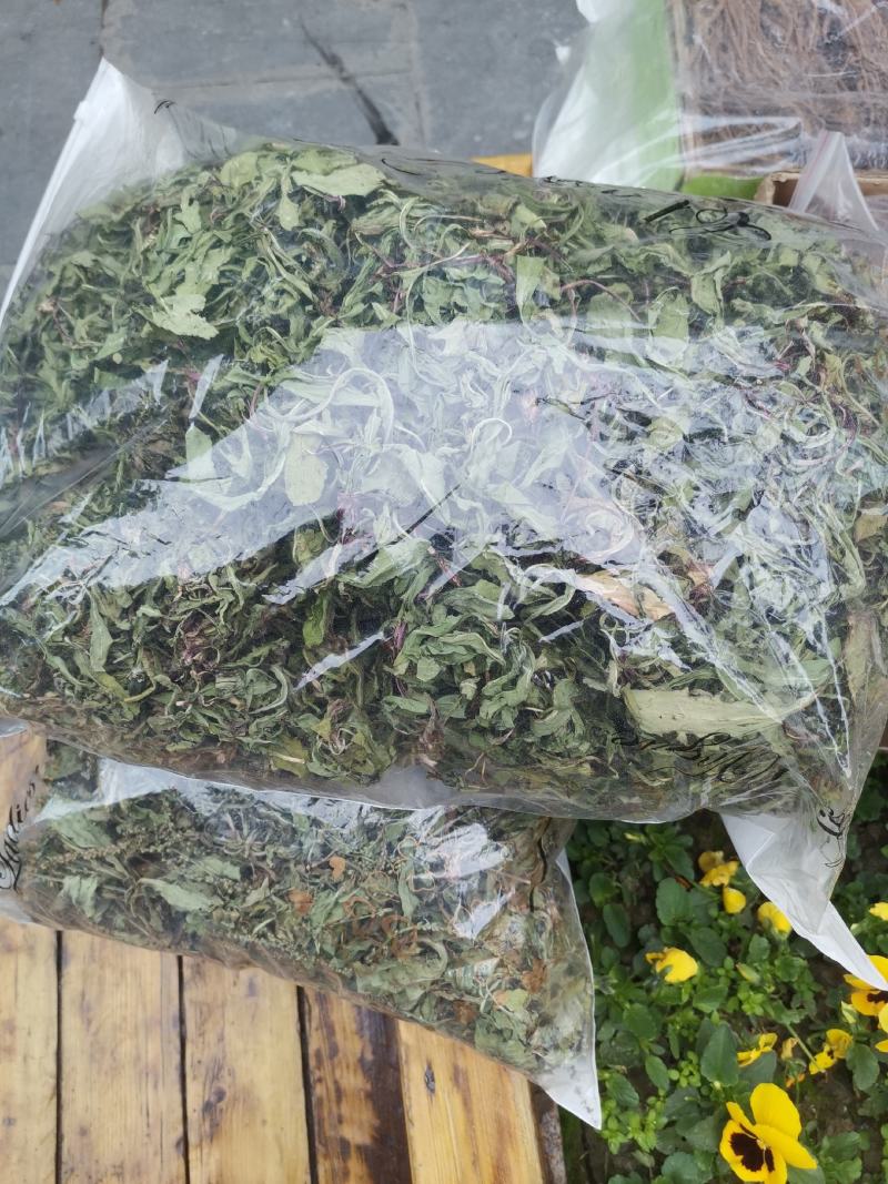 蒲公英茶，干货
