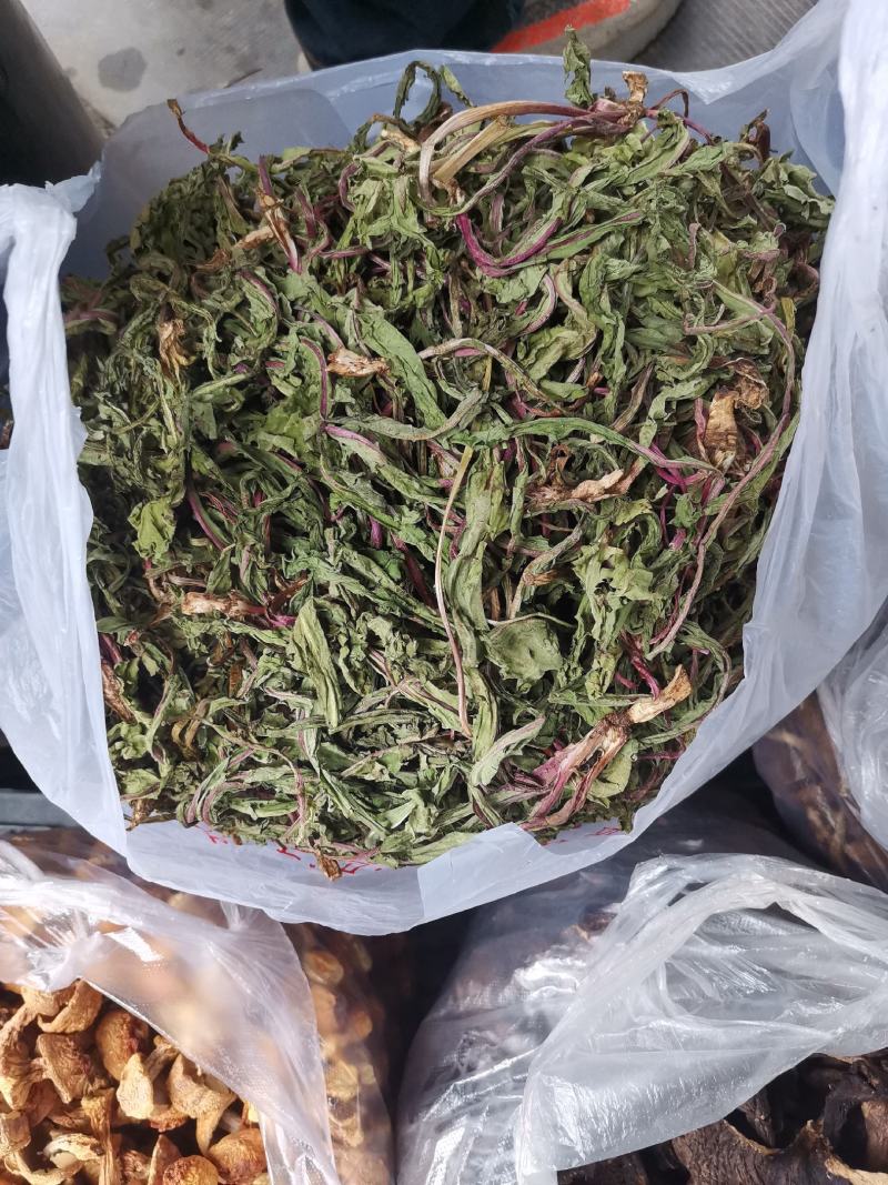 蒲公英茶，干货