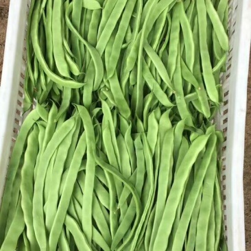 豆角