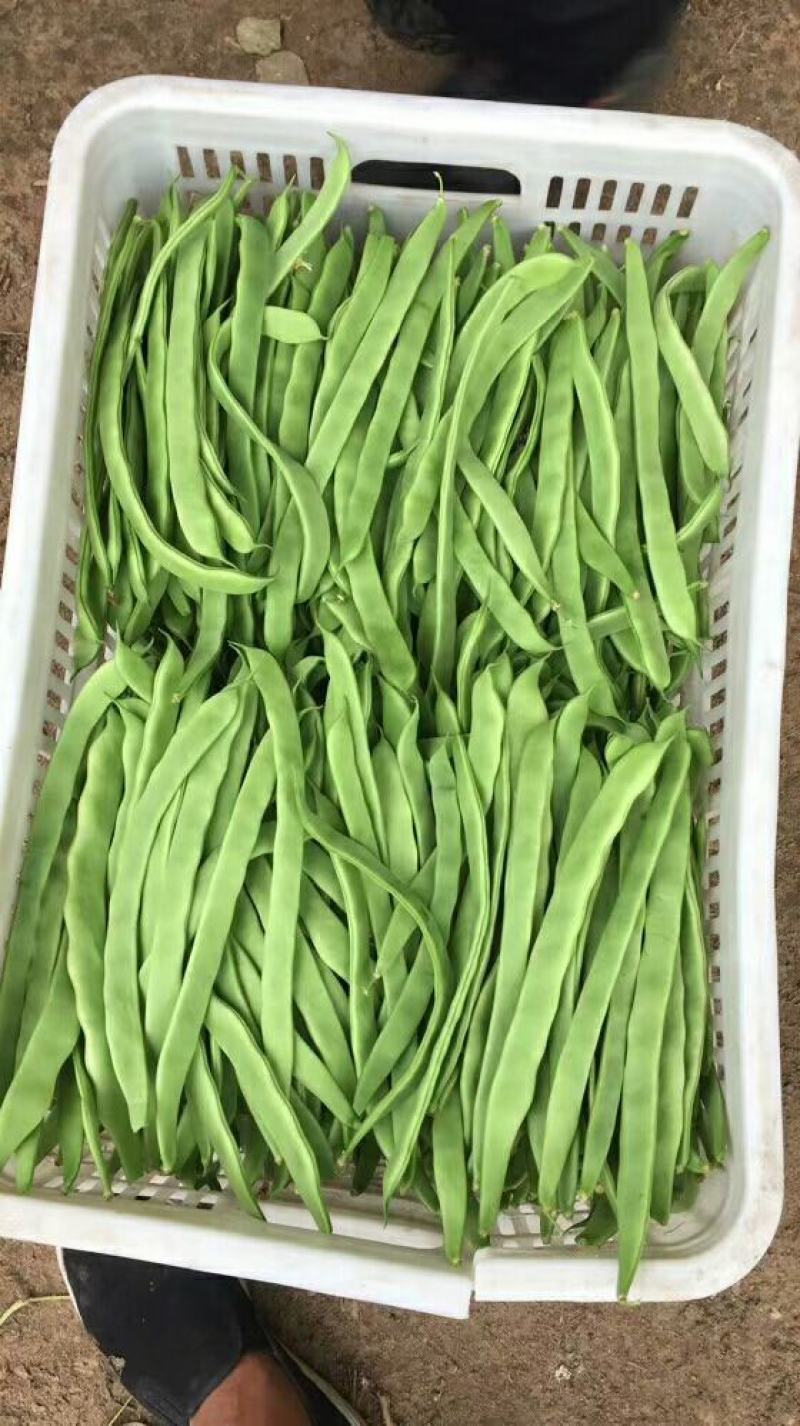 豆角