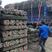 产地厂家竹竿毛竹稍0.65米至4米搭架支撑杆低价出售