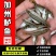 现货包邮淡水鲈鱼苗加州鲈鱼苗大口黑鲈鱼苗包邮论斤卖