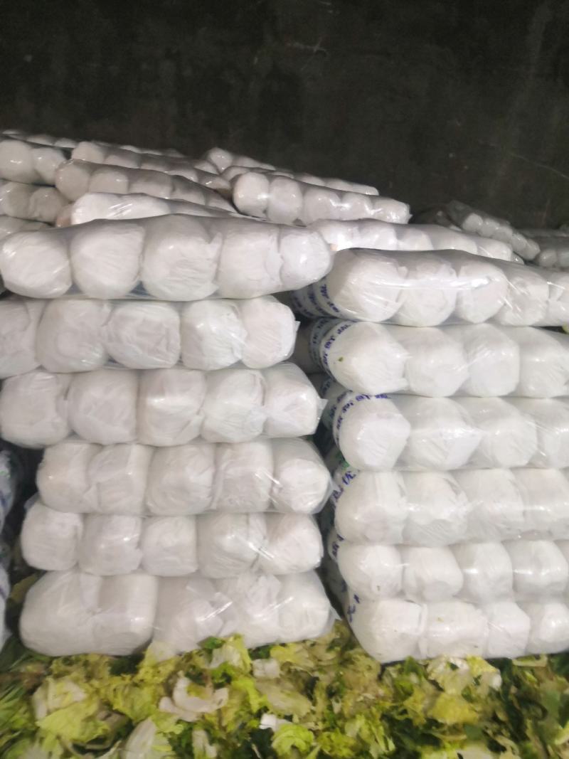 阳春白菜白菜河北白菜产地直销热卖价格实惠实力供应