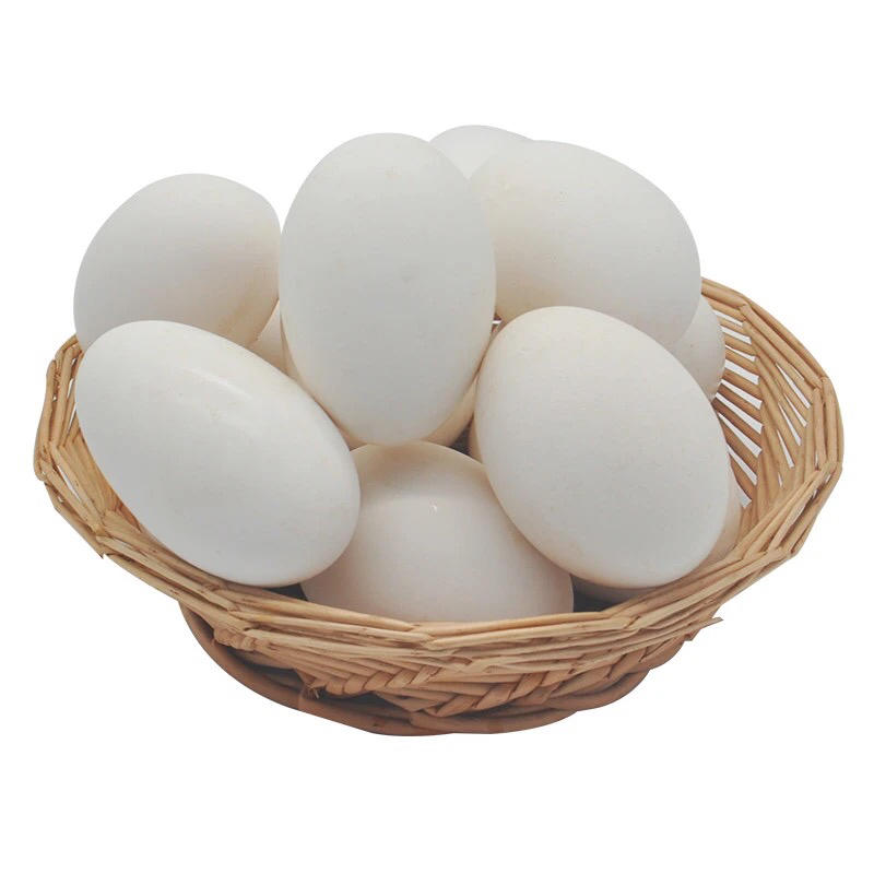 【包邮-60枚土鹅蛋】批发60枚农家饲养非双黄蛋土鹅蛋