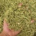 金银花中药材金银花无硫无添加批发零售各种规格