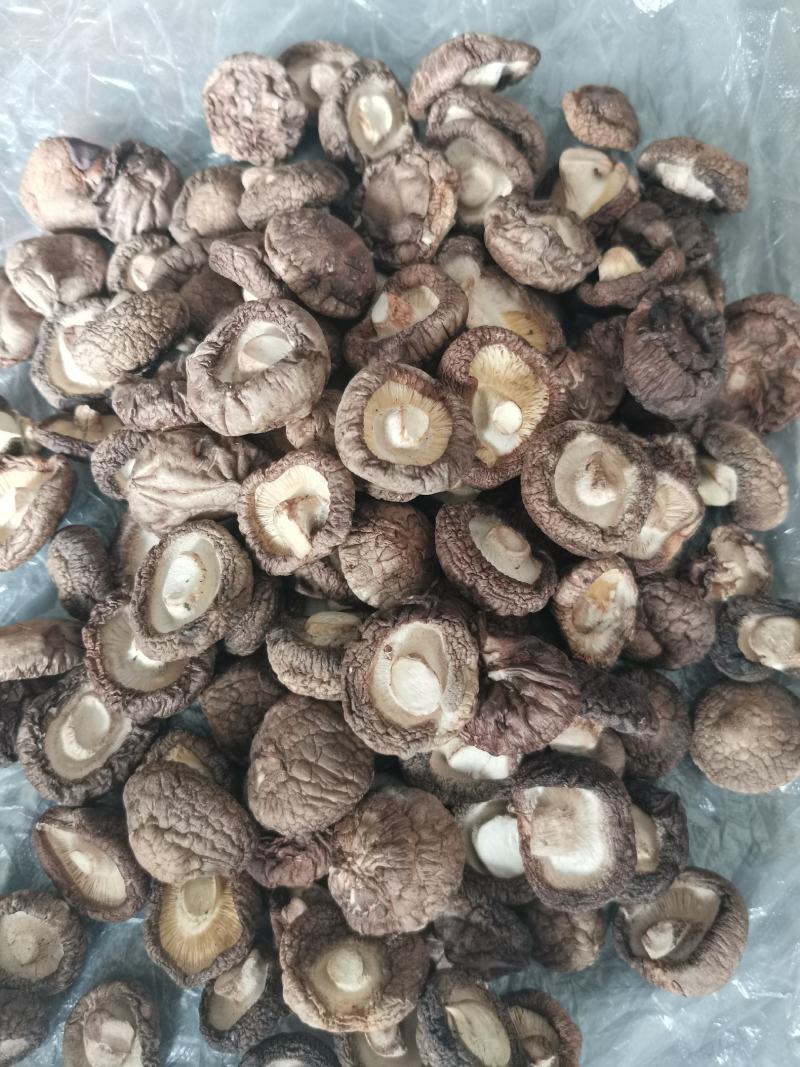 干香菇原产地供应，一手货源，可供应批发市场，餐饮，加工厂