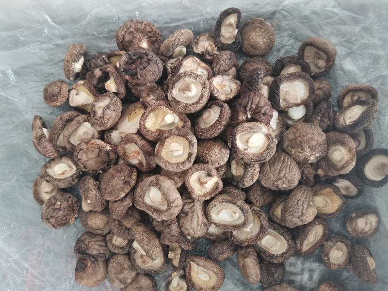 干香菇原产地供应，一手货源，可供应批发市场，餐饮，加工厂