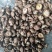 干香菇原产地供应，一手货源，可供应批发市场，餐饮，加工厂