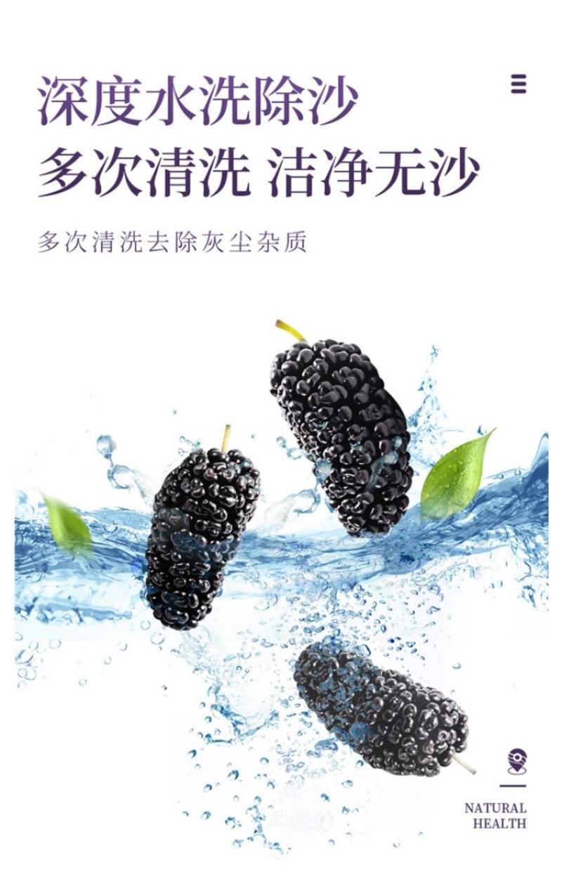 黑桑葚干精选攀枝花货一手货源大货批发