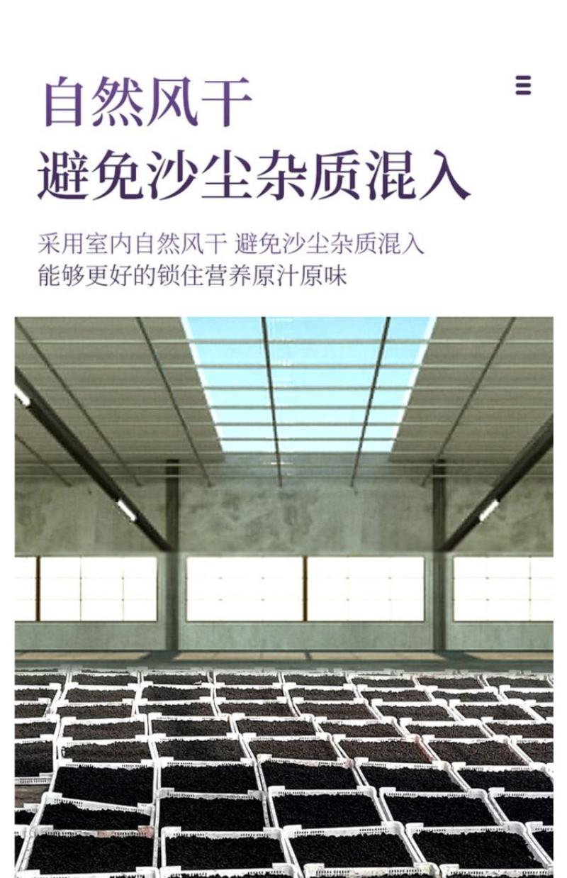 黑桑葚干精选攀枝花货一手货源大货批发
