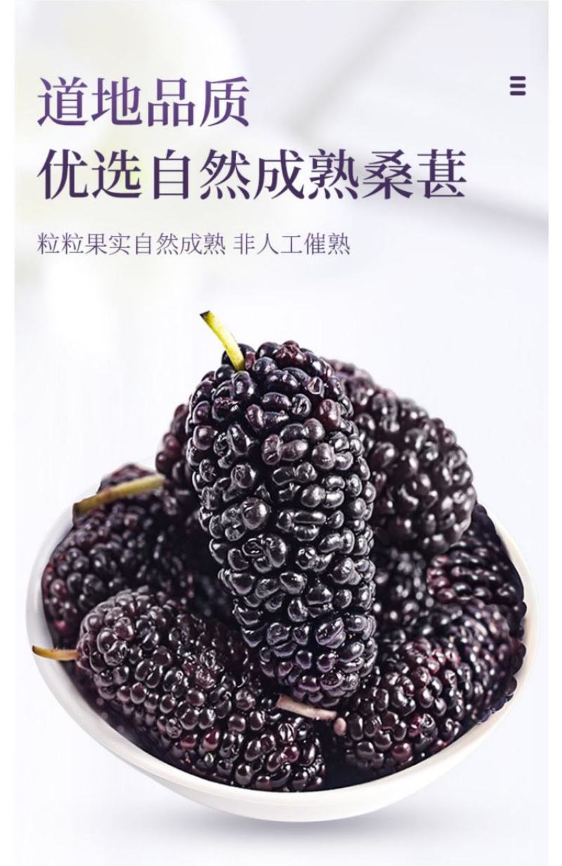 黑桑葚干精选攀枝花货一手货源大货批发
