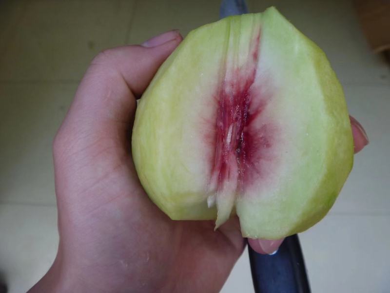 开远特产、鹰嘴蜜桃、甜脆