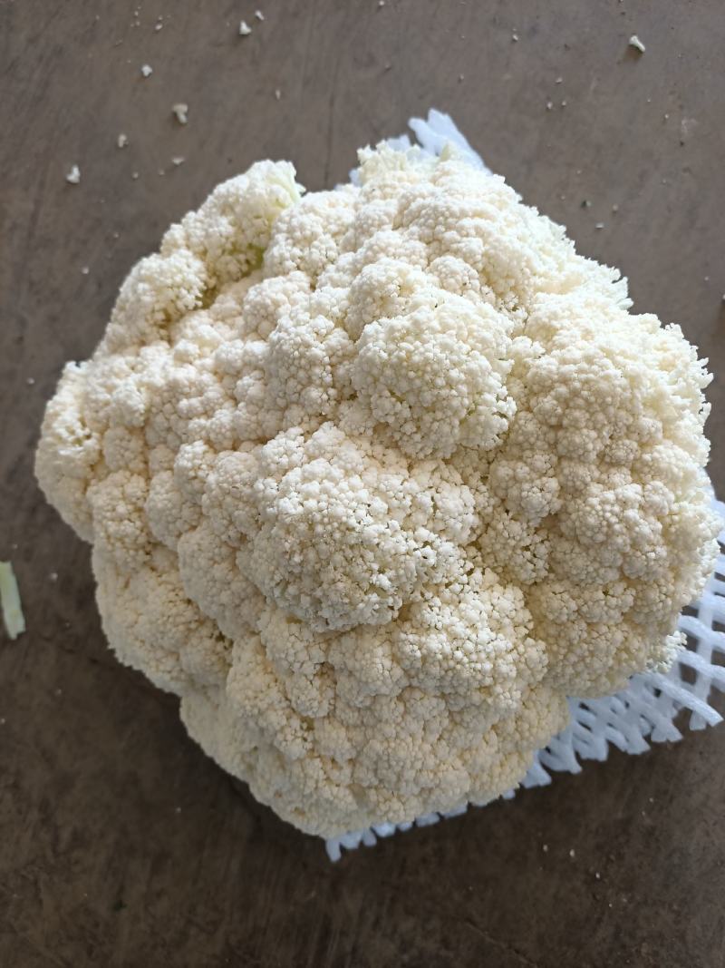 兰州榆中