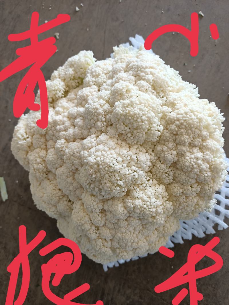 兰州榆中