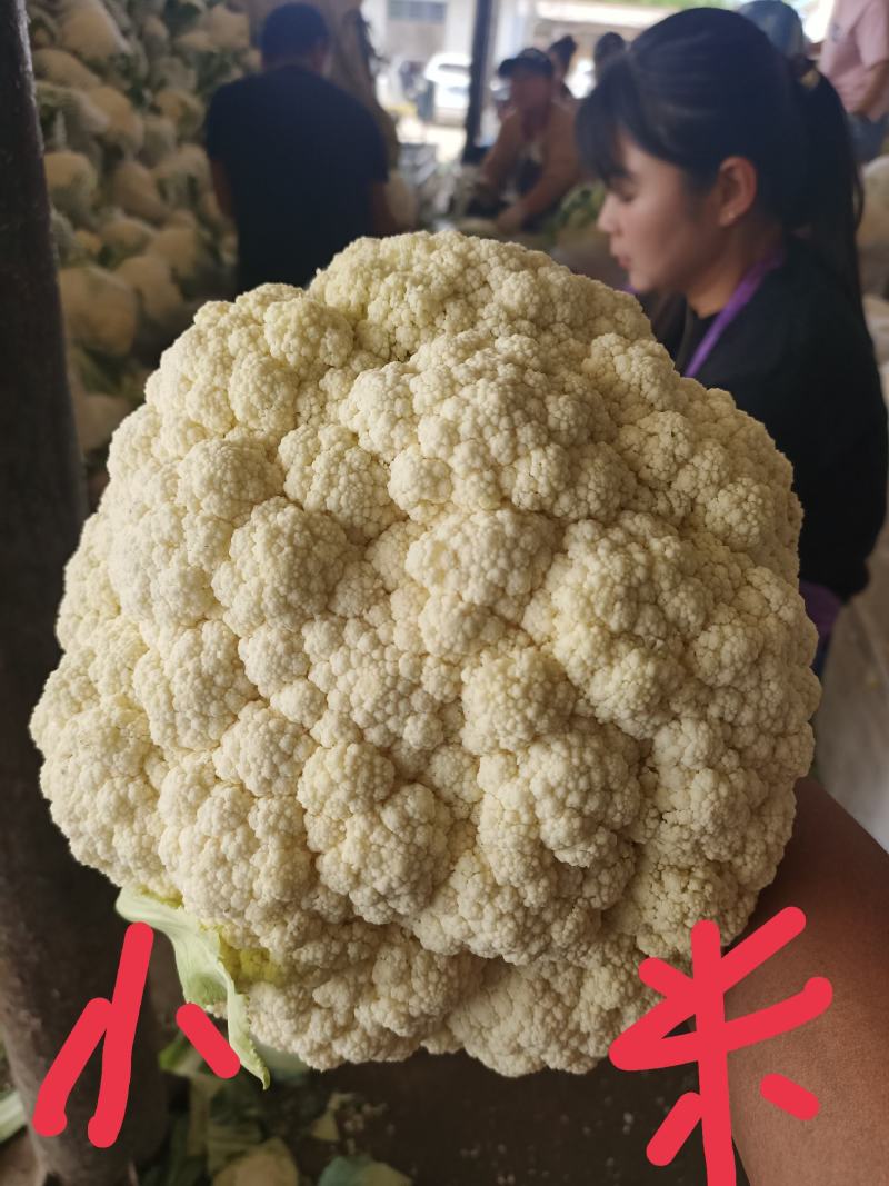 兰州榆中