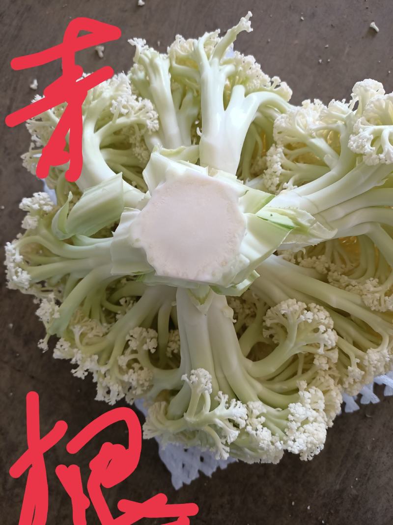 兰州榆中
