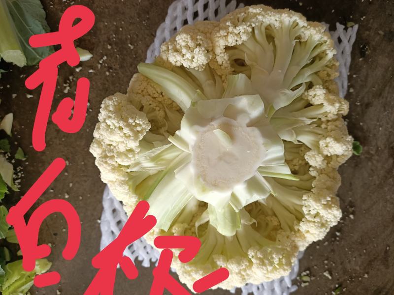 兰州榆中
