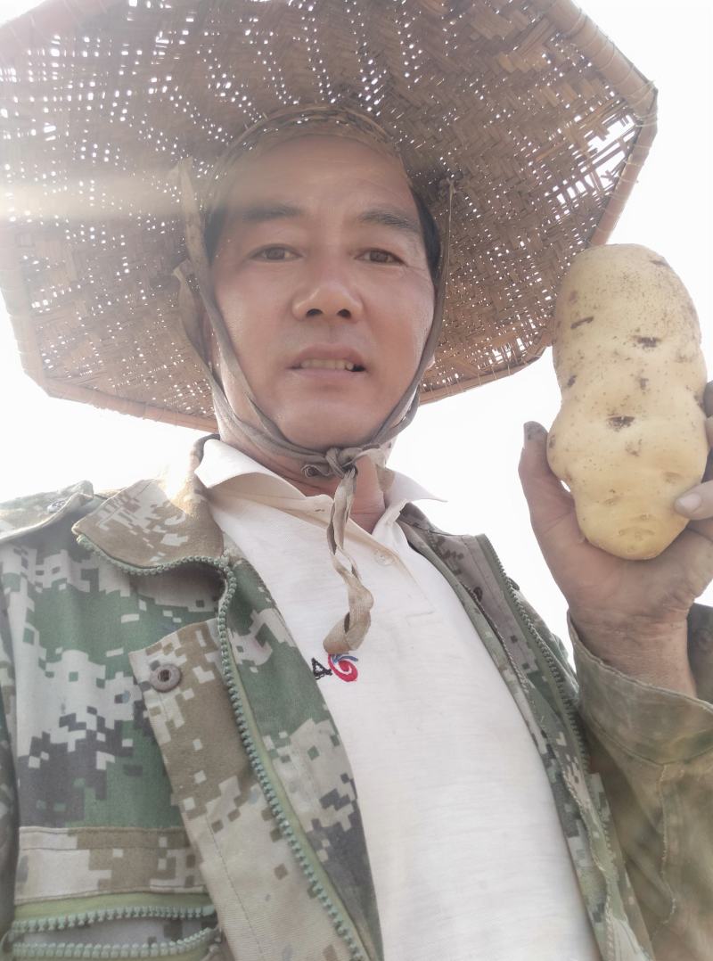 土豆