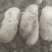 土豆