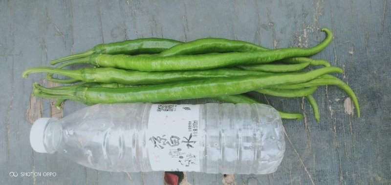 线椒