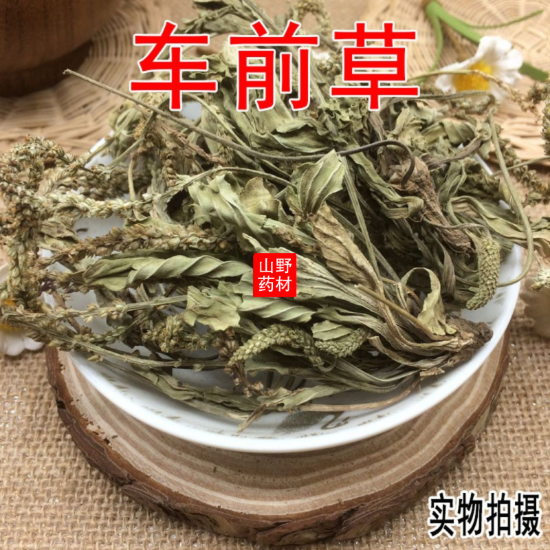 云南野生中药材车前草车前草茶新鲜干货500g