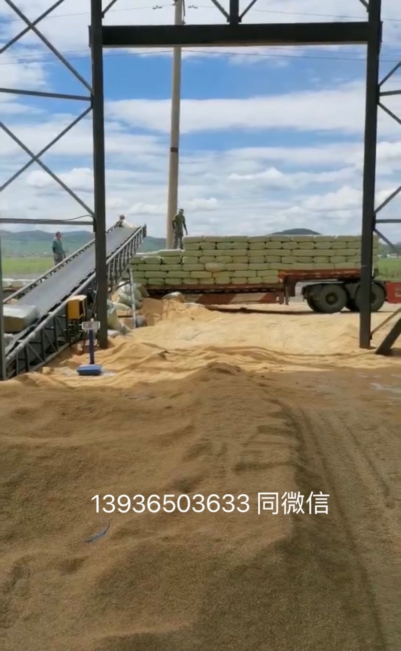黑龙江地区稻壳大量批发，年产10万吨，需求量大联系