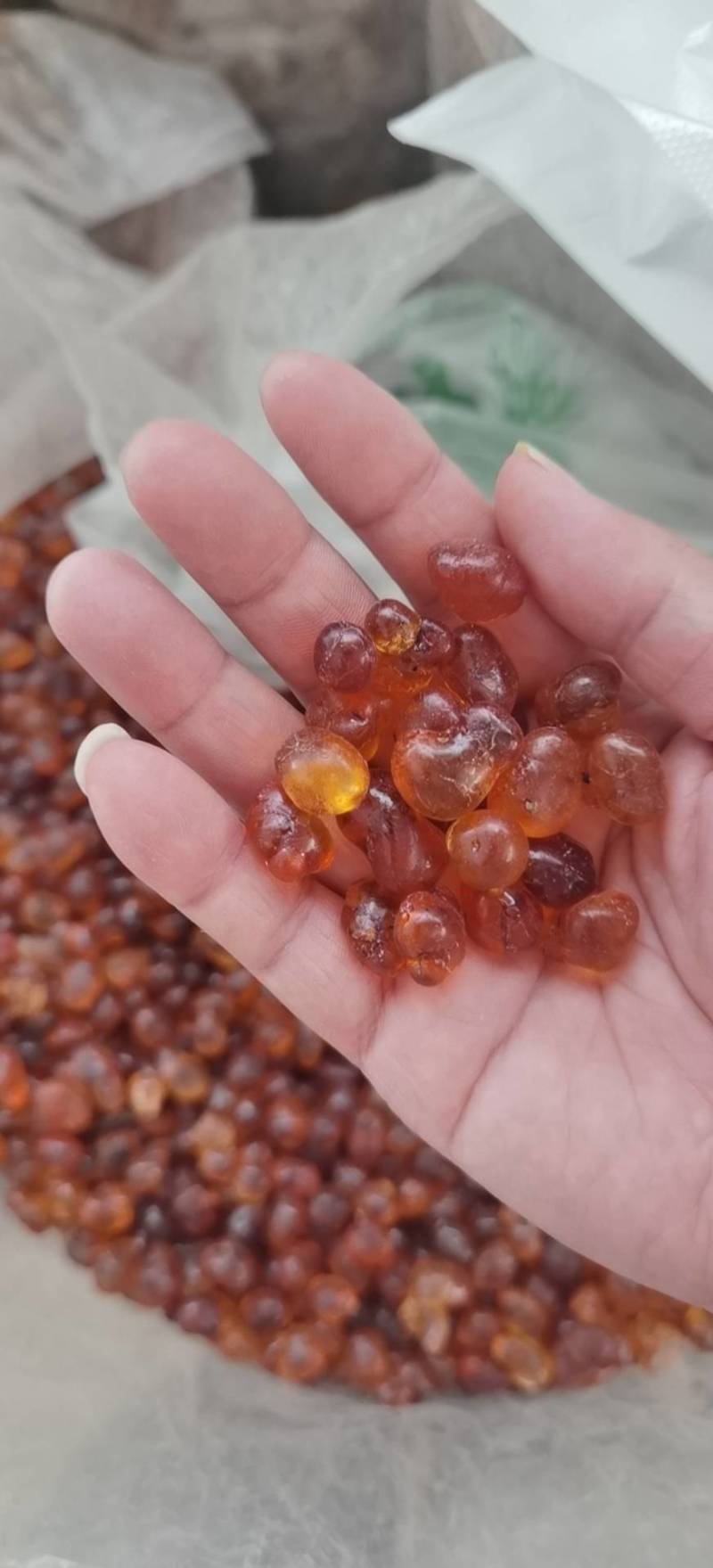 桃胶，产地云南玉溪，质量优良，货源稳定，量大丛优