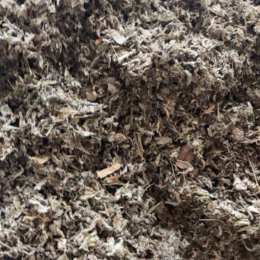 艾叶，切段艾叶颜色好干净长期供应，