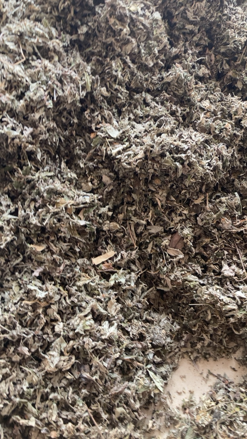 艾叶，切段艾叶颜色好干净长期供应，