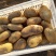荷兰十五土豆大量上市，2两，4两起各种规格认你订