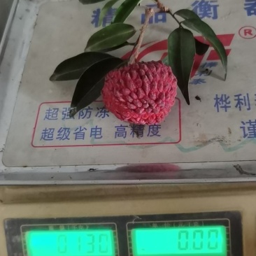 荔枝王