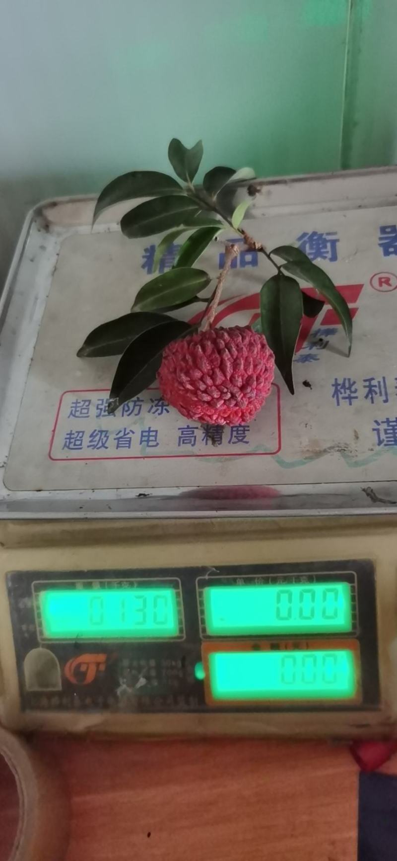 荔枝王