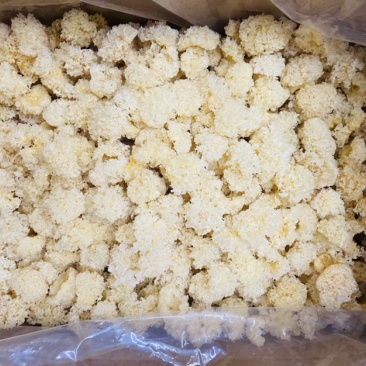 包邮椴木银耳，无添加无硫，质量可靠