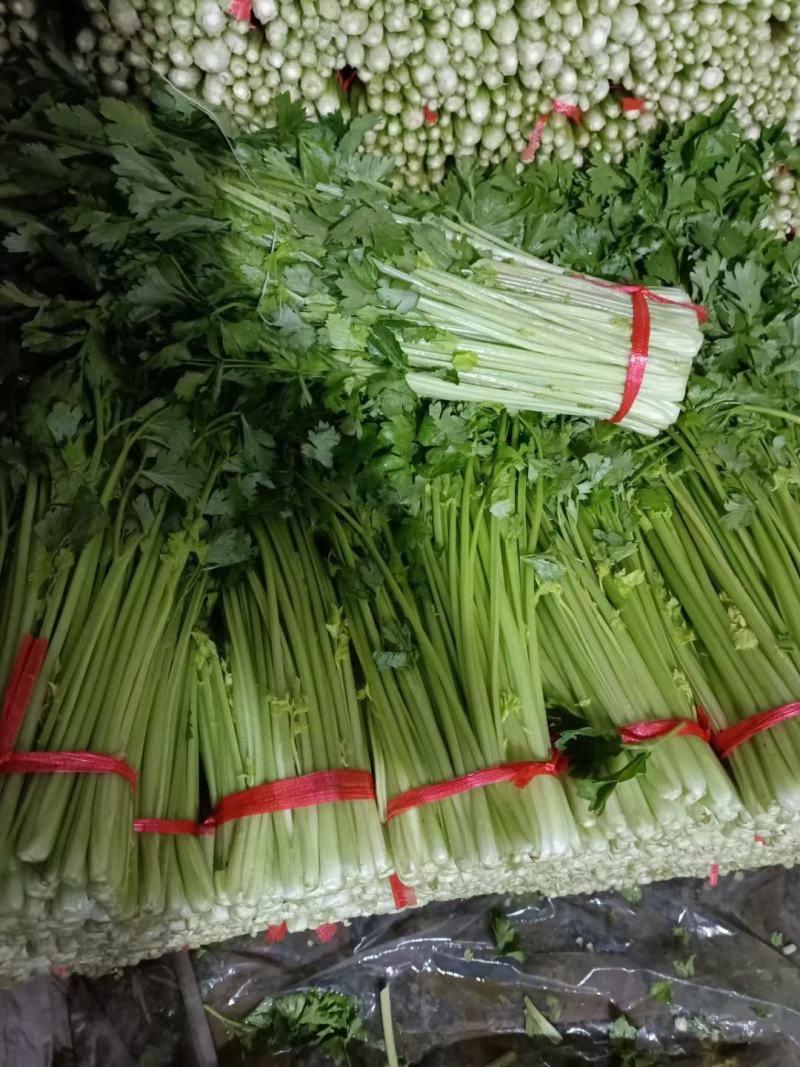 毛芹
