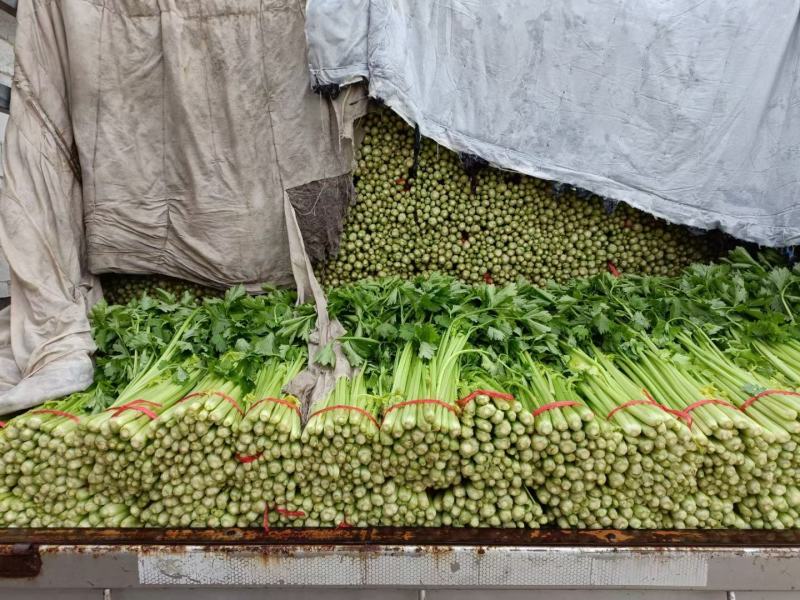 毛芹