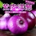 【推荐】紫皮洋葱大量供应，产地，合作共赢，期待合作