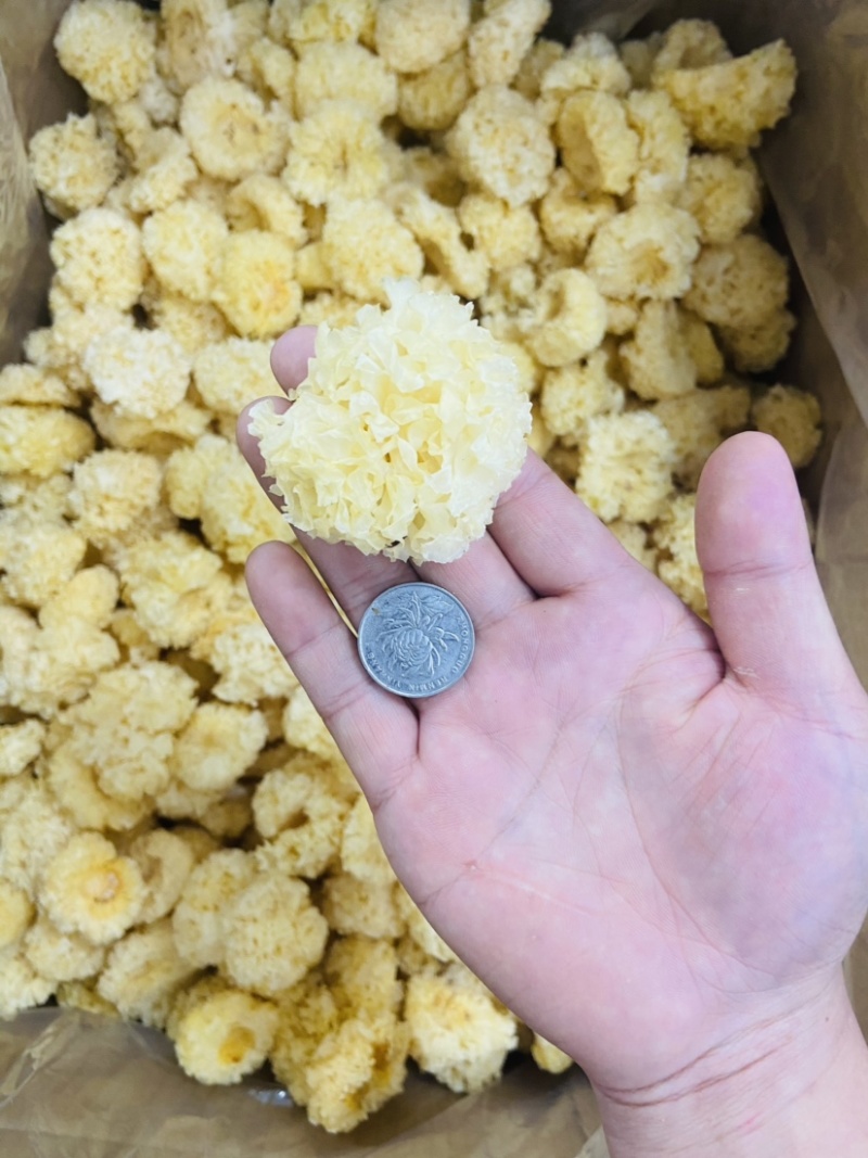 椴木小银耳，手选货大小均匀规格齐全