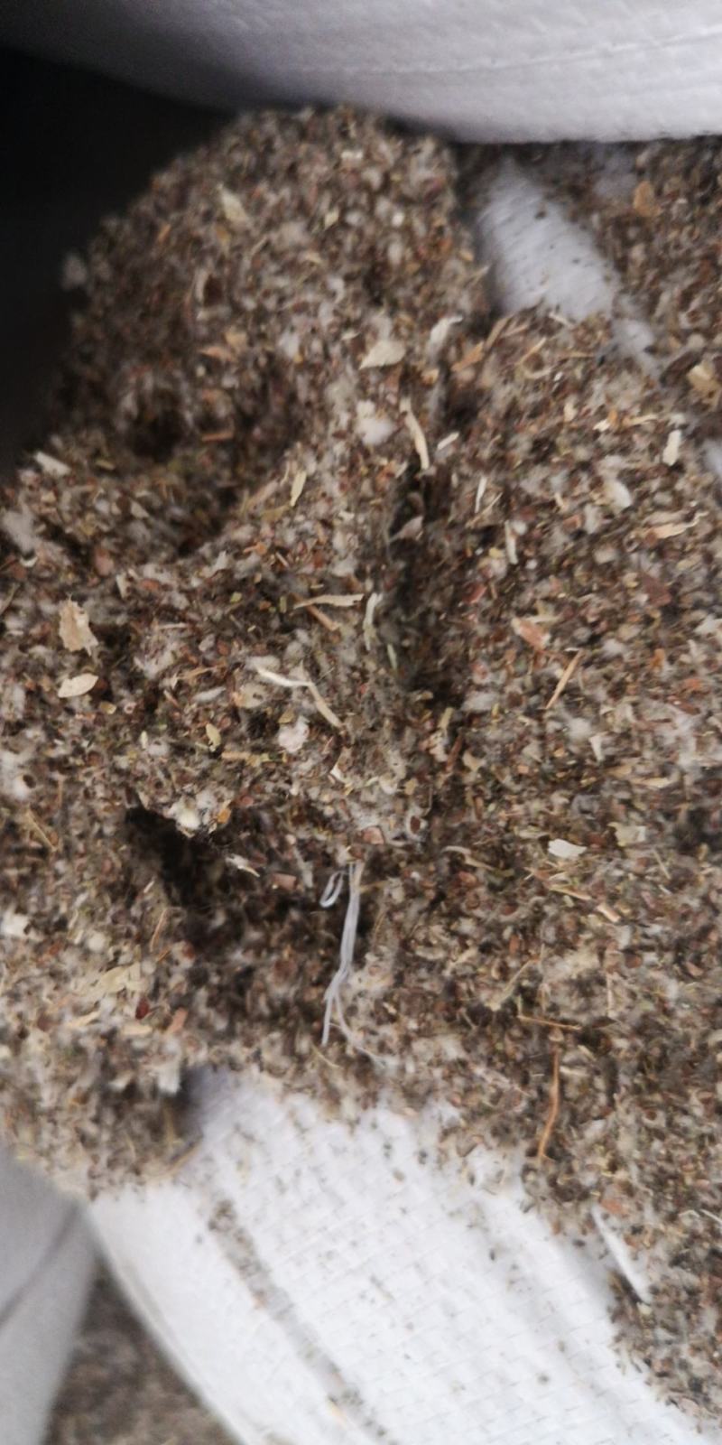 食用菌用菌种，棉籽壳棉渣玉米芯颗粒压块，麸皮次粉稻草木屑