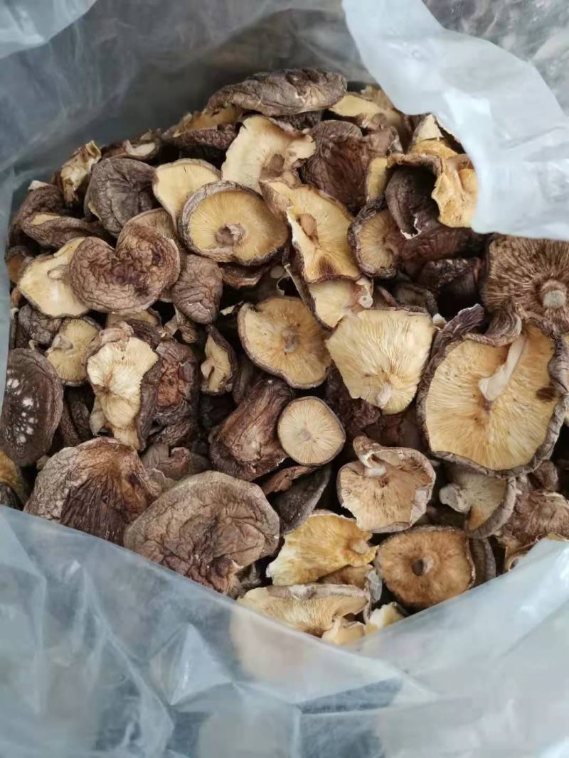 西峡香菇精选厚菇干香菇原产地一手货源