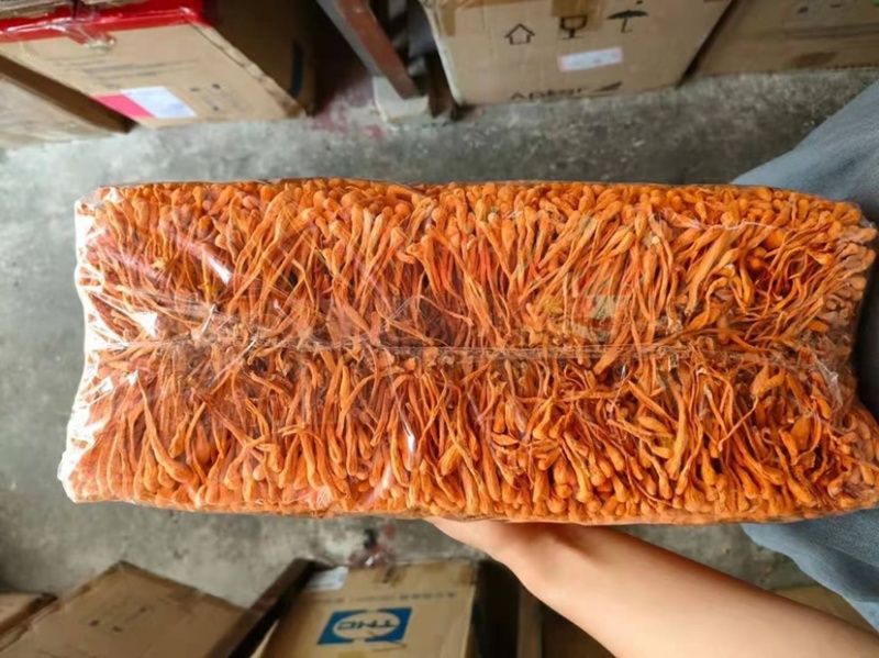 ❗️包邮❗️虫草花贴标2斤排草🈚️硫价格低品质优