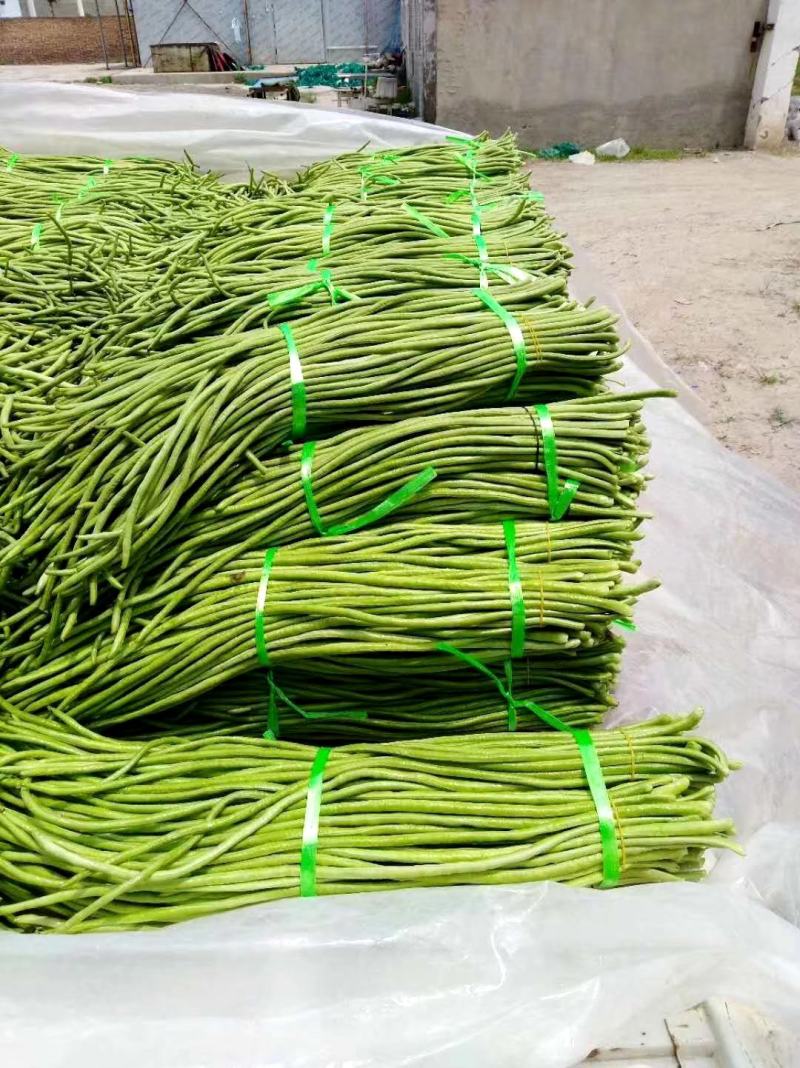 【热销】开封精品长豆角大量上市新鲜采摘欢迎采购