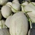 西州蜜25哈密瓜小蜜